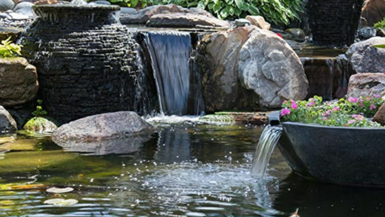 Reasons Why You Need A Pond Filtration System