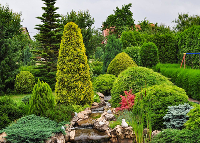 How To Choose The Right Waterfall For Your Garden